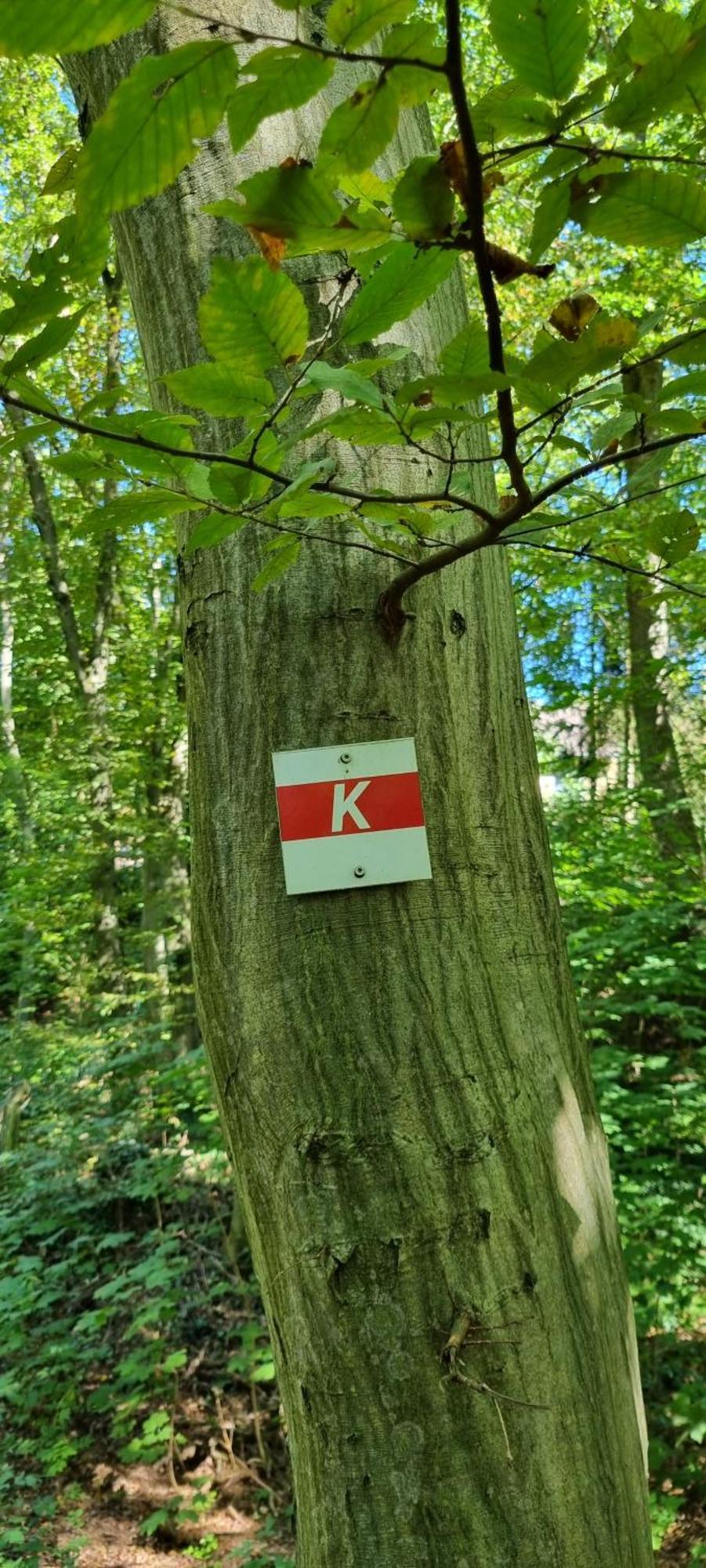 Fewo Zur Alten Tischlerei Herzberg am Harz Exterior photo