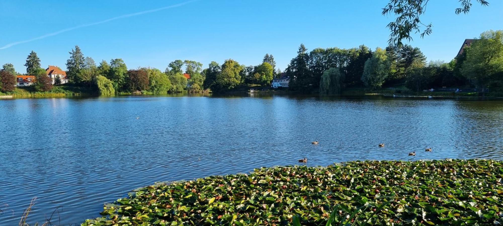 Fewo Zur Alten Tischlerei Herzberg am Harz Exterior photo